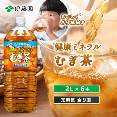 『定期便:全9回』健康ミネラルむぎ茶2L×6本【50000301】