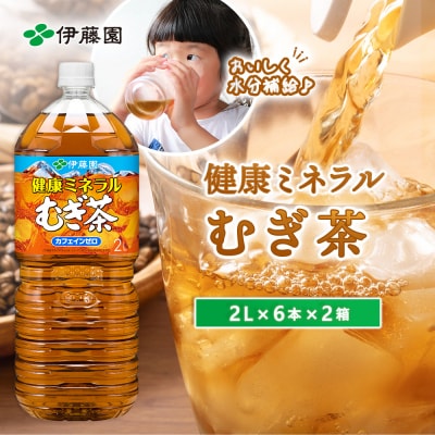 健康ミネラル麦茶2L×6本×2箱【50000401】