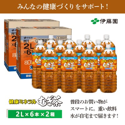 健康ミネラル麦茶2L×6本×2箱【50000401】