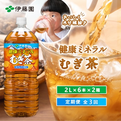 『定期便:全3回』健康ミネラル麦茶2L×6本×2箱【50000501】