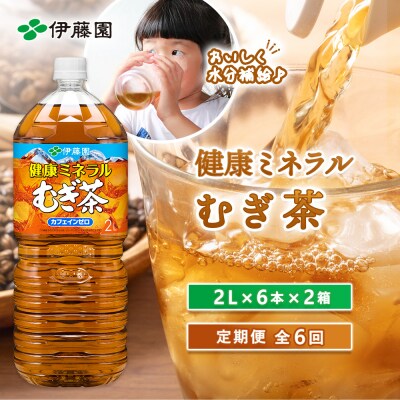 『定期便:全6回』健康ミネラル麦茶2L×6本×2箱【50000601】