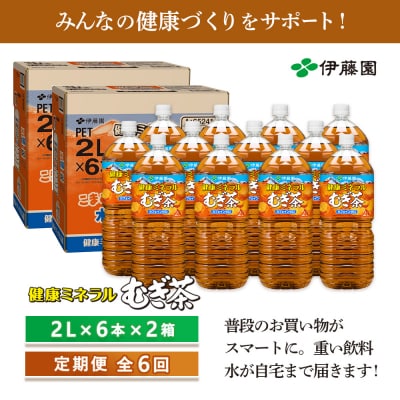 『定期便:全6回』健康ミネラル麦茶2L×6本×2箱【50000601】