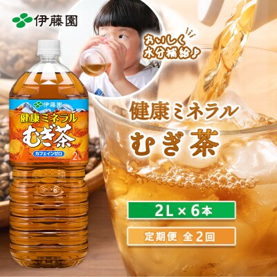 『定期便:全2回』健康ミネラルむぎ茶2L×6本【50000801】