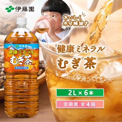 『定期便:全4回』健康ミネラルむぎ茶2L×6本【50000901】