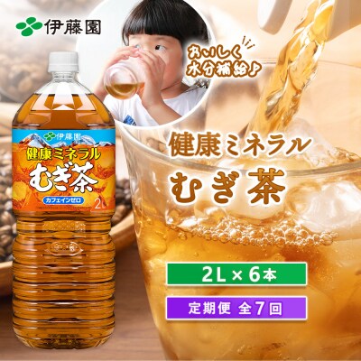 『定期便:全7回』健康ミネラルむぎ茶2L×6本【50001101】