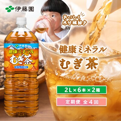 『定期便:全4回』健康ミネラルむぎ茶2L×6本×2箱【500017】