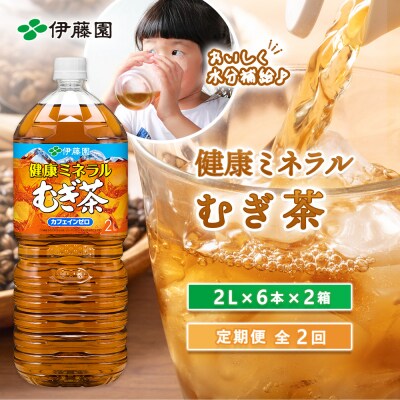 『定期便:全2回』健康ミネラルむぎ茶2L×6本×2箱【500016】