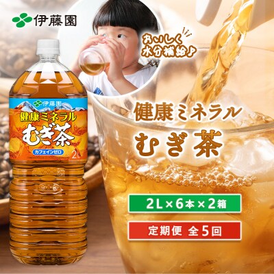 『定期便:全5回』健康ミネラルむぎ茶2L×6本×2箱【500018】