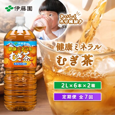 『定期便:全7回』健康ミネラルむぎ茶2L×6本×2箱【500019】