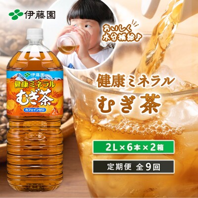 『定期便:全9回』健康ミネラル麦茶2L×6本×2箱【500021】