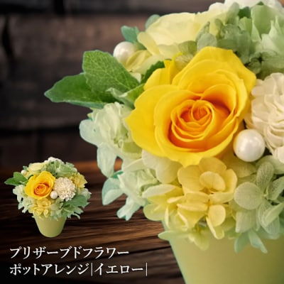 プリザーブドフラワー　ポットアレンジ(イエロー)【14001401】