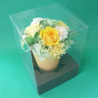 プリザーブドフラワー　ポットアレンジ(イエロー)【14001401】