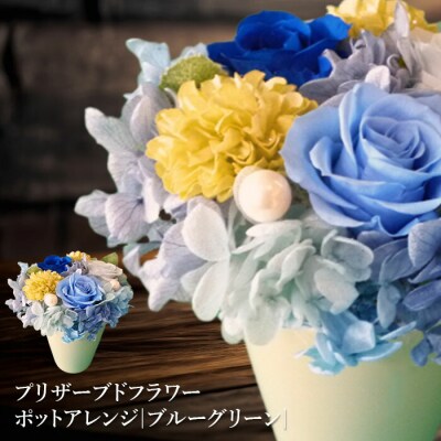 プリザーブドフラワー　ポットアレンジ(ブルーグリーン)【14001601】