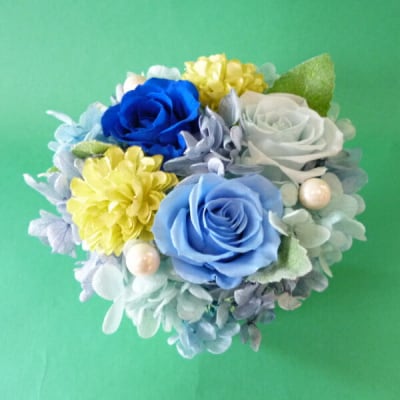 プリザーブドフラワー　ポットアレンジ(ブルーグリーン)【14001601】