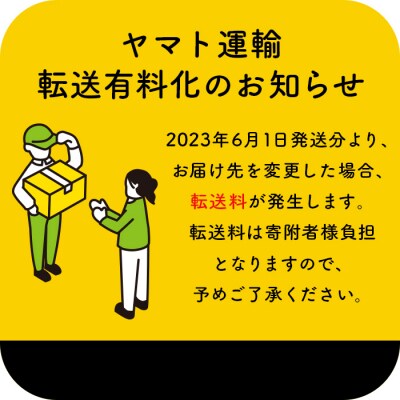 名物ジャンボ茶わんむしといくらのごちそうセット(茶わんむし3食、いくら1パック)【44001901】