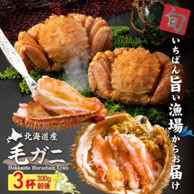 【北海道産】『冷凍』毛ガニ300g前後×3杯【急速冷凍】【52001403】