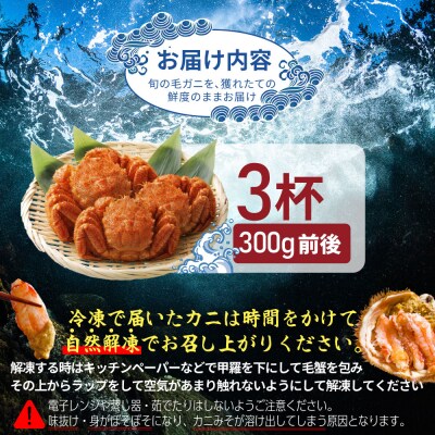【北海道産】『冷凍』毛ガニ300g前後×3杯【急速冷凍】【52001402】