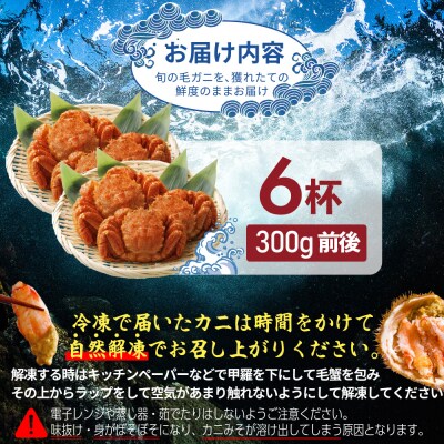 【北海道産】『冷凍』毛がに300g前後×6杯【急速冷凍】【52001502】