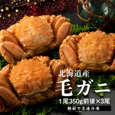 【北海道産】『冷凍』毛ガニ350g前後×3杯【急速冷凍】【520016】
