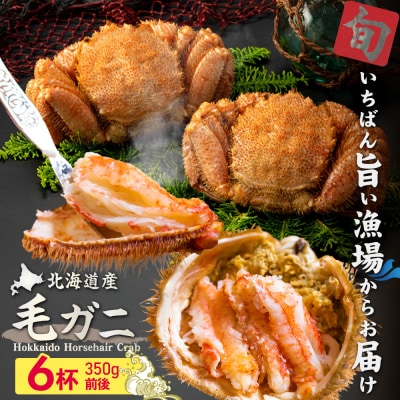 【北海道産】『冷凍』毛ガニ350g前後×6杯【急速冷凍】【52001701】