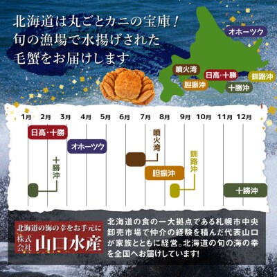 【北海道産】『冷凍』毛ガニ350g前後×6杯【急速冷凍】【52001701】