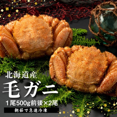 【北海道産】『冷凍』毛ガニ500g前後×2杯【急速冷凍】【52002002】
