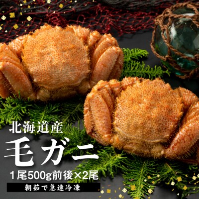 【北海道産】『冷凍』毛ガニ500g前後×2杯【急速冷凍】【52002003】