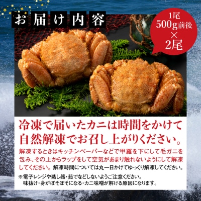 【北海道産】『冷凍』毛ガニ500g前後×2杯【急速冷凍】【52002003】