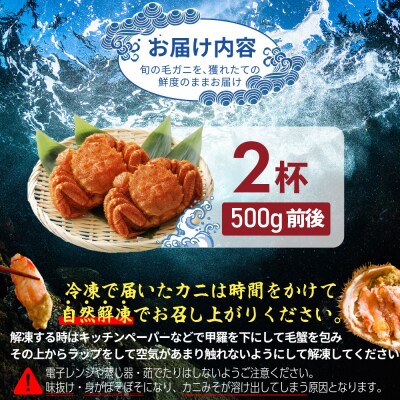 【北海道産】『冷凍』毛ガニ500g前後×2杯【急速冷凍】【52002003】