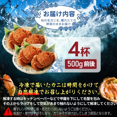 【北海道産】『冷凍』 毛ガニ500g前後×4杯【急速冷凍】【52002103】