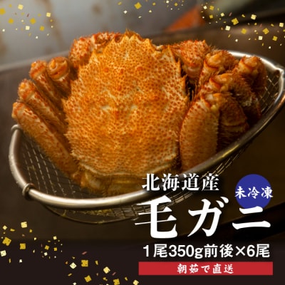 【配達地域限定】『冷蔵』朝茹で直送毛ガニ350g前後×6杯【52002202】