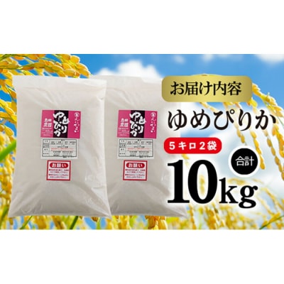 【定期便:全3回】北海道米「恵庭産たつやのゆめぴりか」5kg×2袋【56000301】