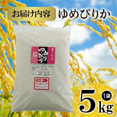 北海道米「恵庭産たつやのゆめぴりか」5kg【56000902】
