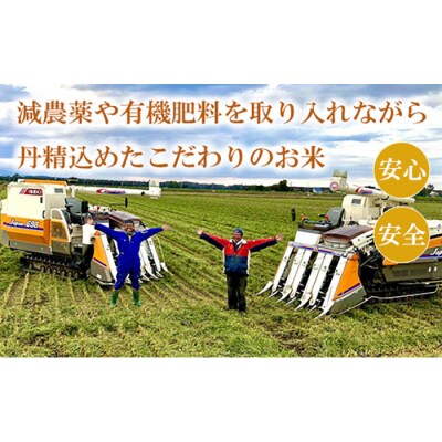 北海道米「恵庭産たつやのゆめぴりか」5kg【56000902】