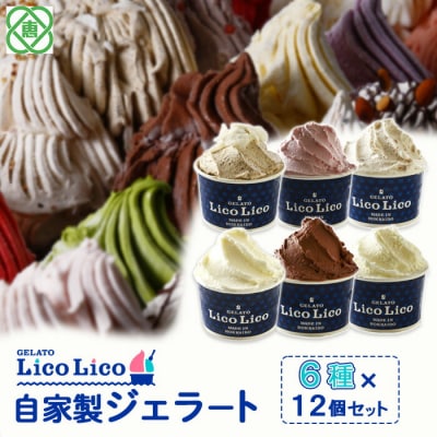 自家製ジェラート6種12個セット(温泉ミルク/ミルク/生チョコレート/他3種)【60002501】