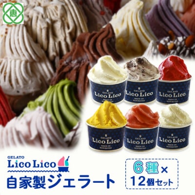 自家製ジェラート6種12個セット(温泉ミルク/ミルク/小豆ミルク/他3種)【60002601】