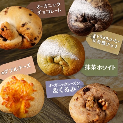 トモヱベーグル ギフトセット「北の麦輪(むぎわ)10個セット」【33000101】
