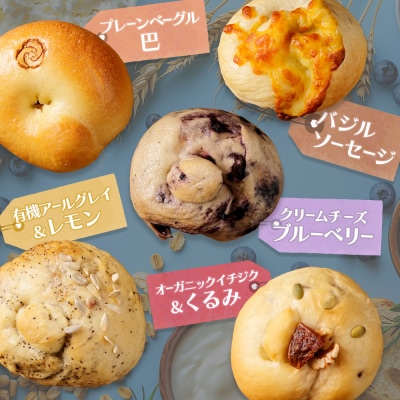 【定期便:全2回】トモヱベーグル ギフトセット「北の麦輪(むぎわ)10個セット」【330003】