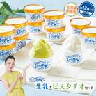 ジェラテリアGigiのイタリアンジェラート　生乳・ピスタチオ　カップサイズ各6個【43000201】
