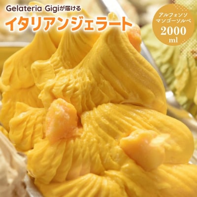 ジェラテリアGigiのイタリアンジェラート『アルフォンソマンゴーソルベ』【43002703】