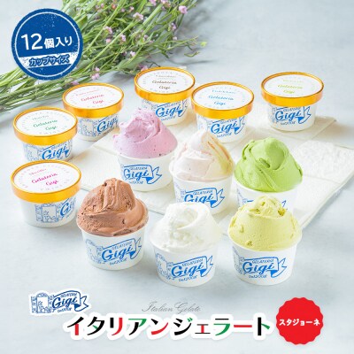 ジェラテリアGigiイタリアンジェラート6種【カップサイズ12個】【43001601】