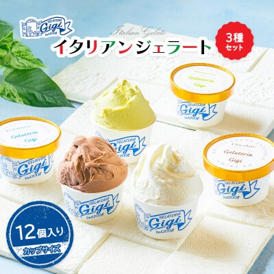 ジェラテリアGigiのイタリアンジェラート3種【カップサイズ12個入り】【43001701】