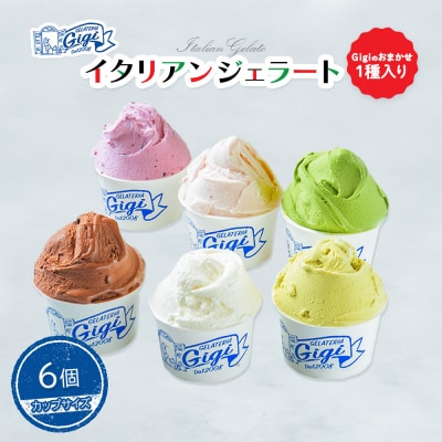 ジェラテリアGigiのイタリアンジェラート6種(Gigiのおまかせ1種入り)【43003202】