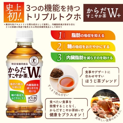阿部精肉店のジンギスカン600gとからだすこやか茶のセット【C9900201】