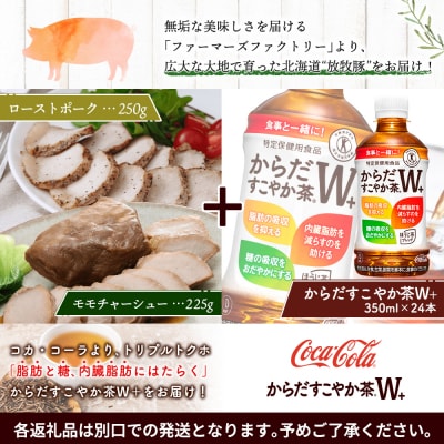 モモチャーシュー&ローストポークとからだすこやか茶のセット【C99011】