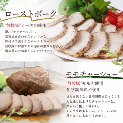 モモチャーシュー&ローストポークとからだすこやか茶のセット【C99011】