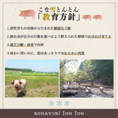 北海道雪国放牧豚こな雪とんとんウインナーソーセージ(5本入り)【19006101】