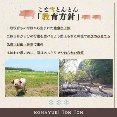 北海道雪国放牧豚こな雪とんとんウインナーソーセージ(5本入り)【19006102】
