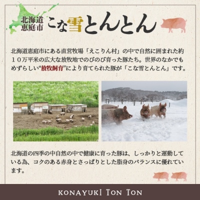 こな雪とんとん　えこりん村ポークカレー　200g×3箱【190065】