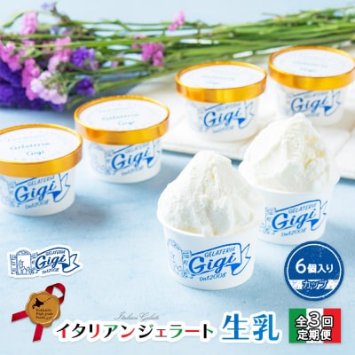 定期便:全3回ジェラテリアGigiのイタリアンジェラート『生乳』【カップ6個入】【43003601】